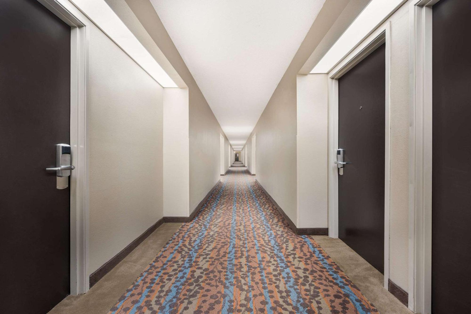 Sleep Inn Athens I-65 Экстерьер фото